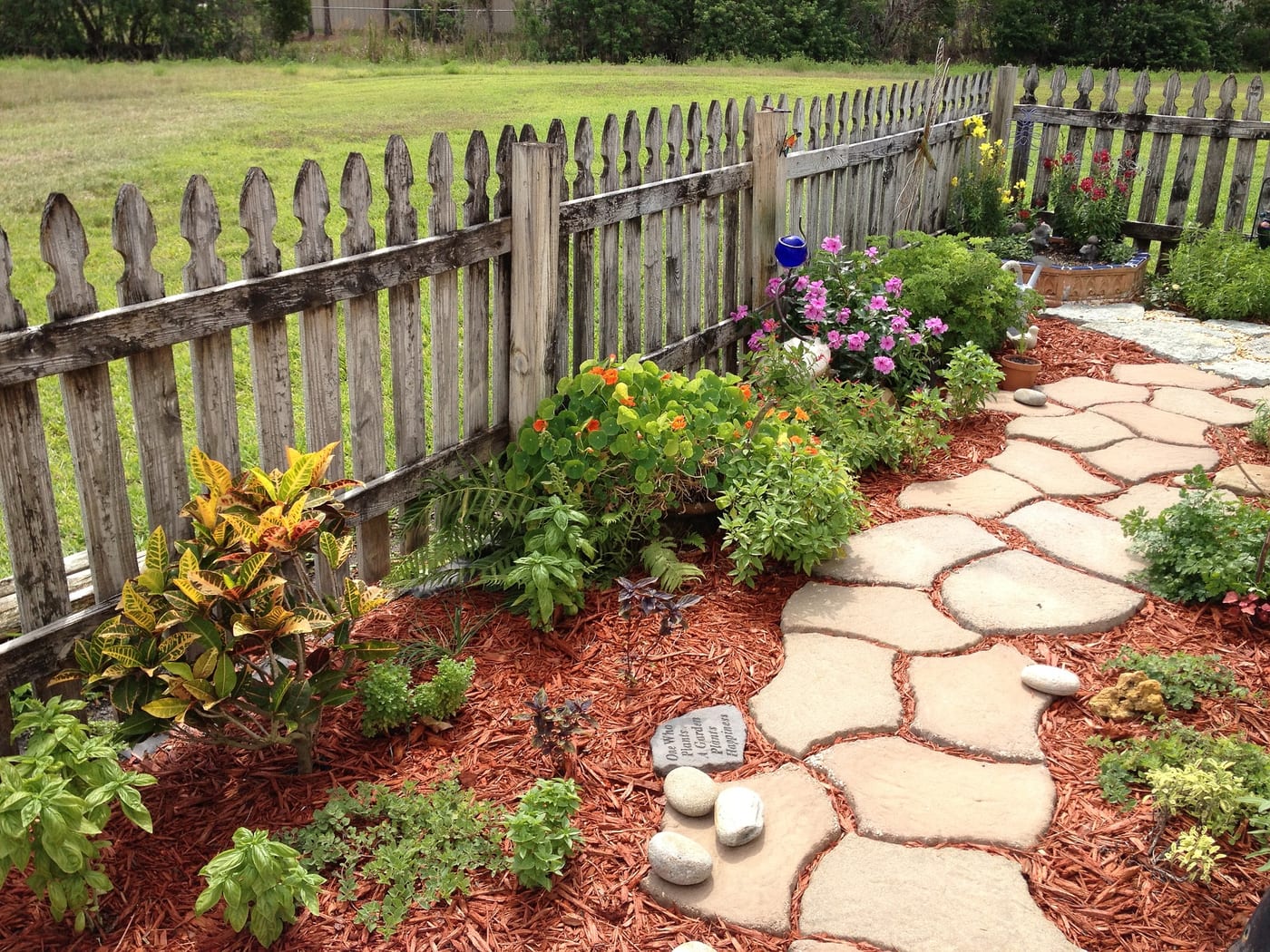 Garden path planting