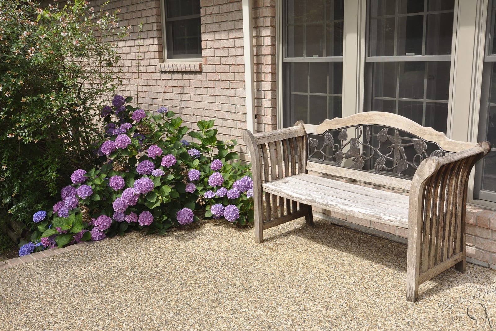 Landscape Design by GD Tree & Gardens Specialists in Colchester